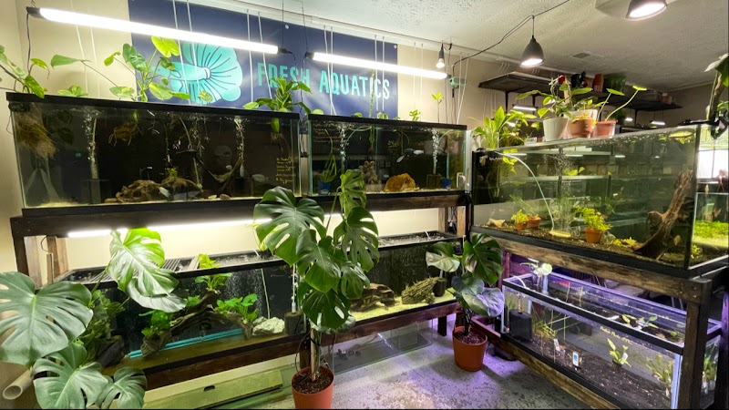 Fresh Aquatics - Photo 1