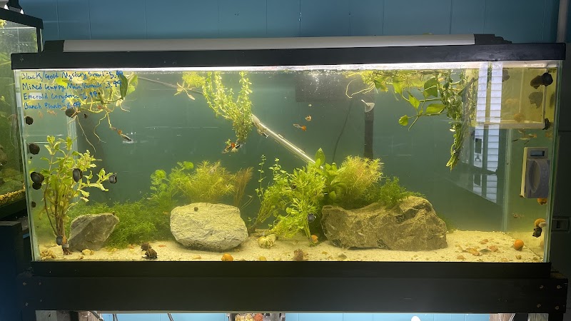 Fresh Aquatics - Photo 2
