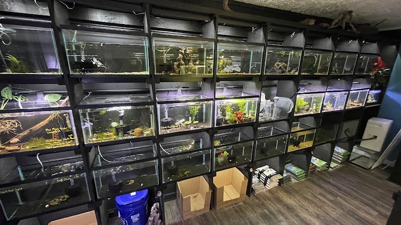 Fresh Aquatics - Photo 4