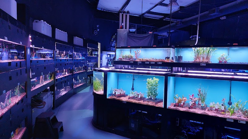 Aquarium - Photo 3
