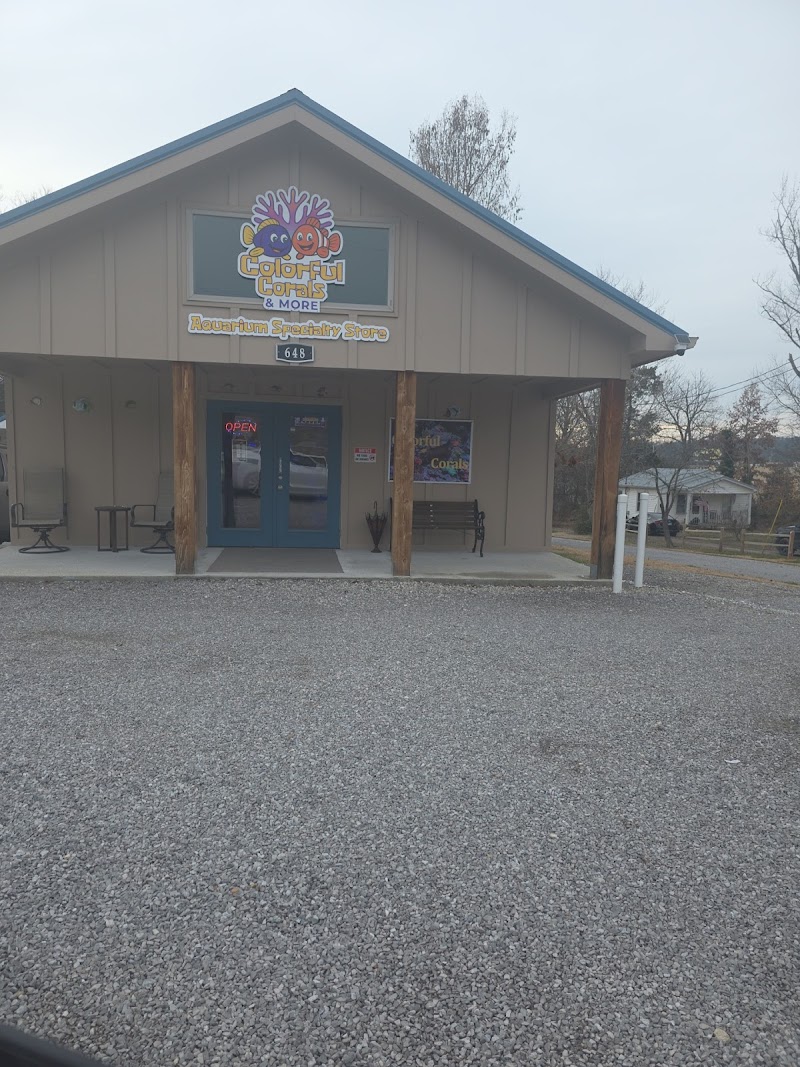 Colorful Corals & More - Photo 1