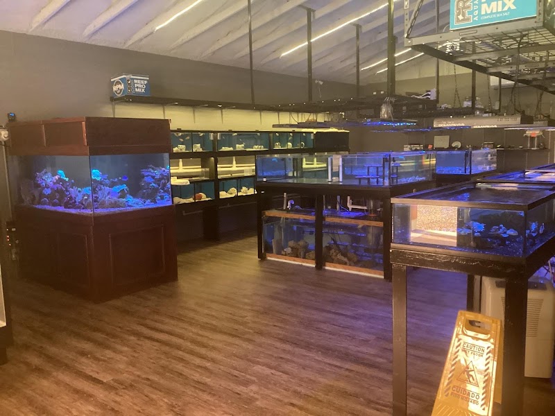 Colorful Corals & More - Photo 2