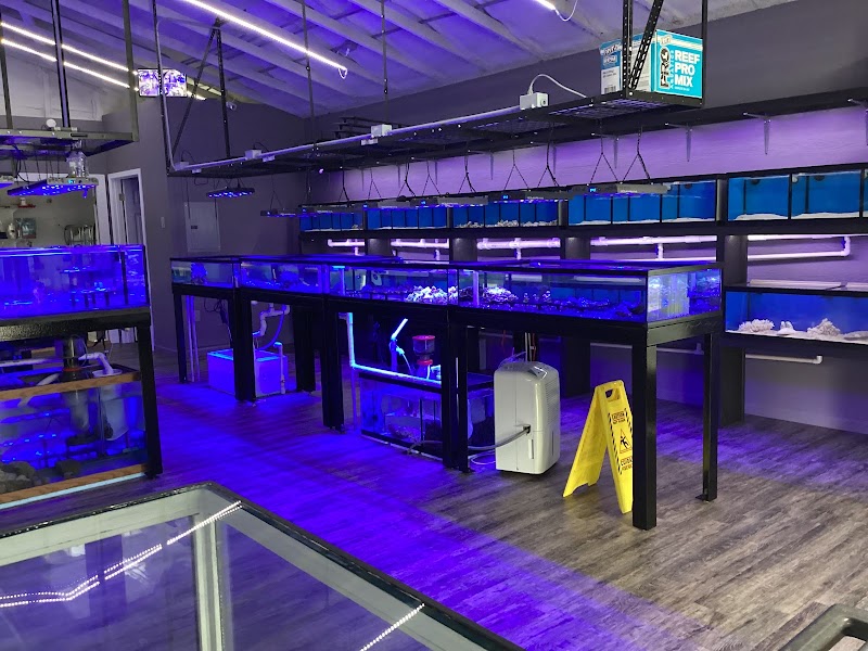 Colorful Corals & More - Photo 3