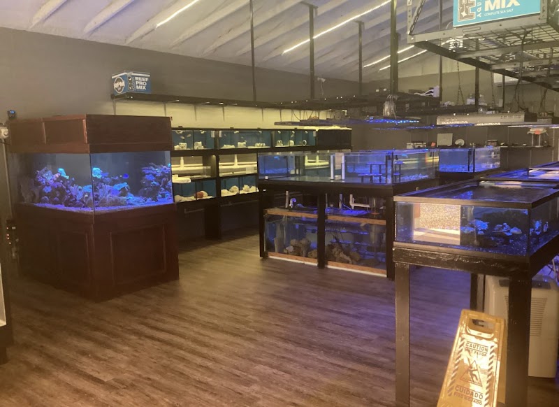 Colorful Corals & More - Photo 5