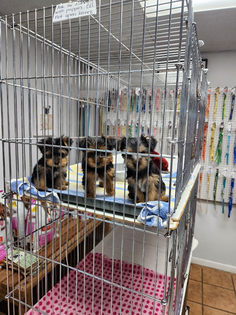 Coronado Pet Shoppe - Photo 2