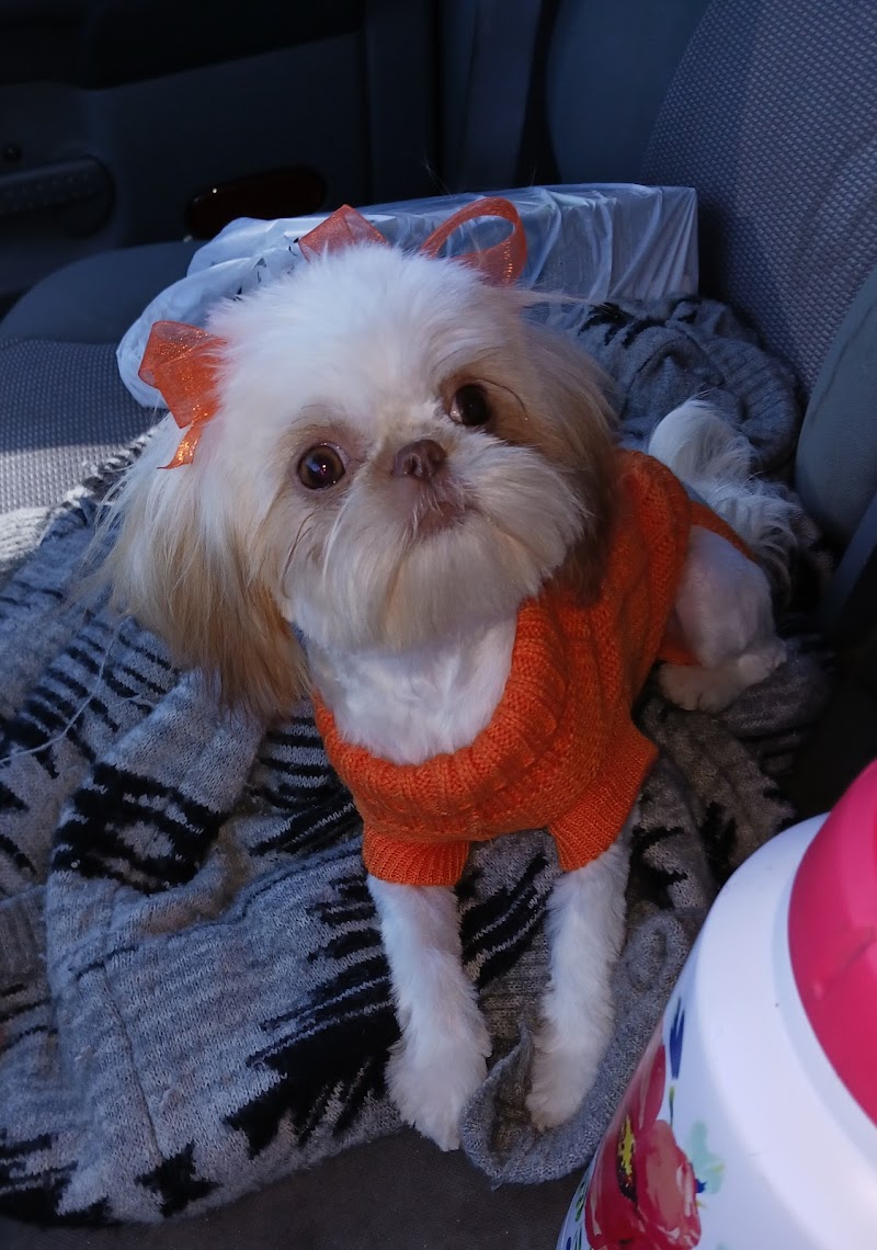 Coronado Pet Shoppe - Photo 3