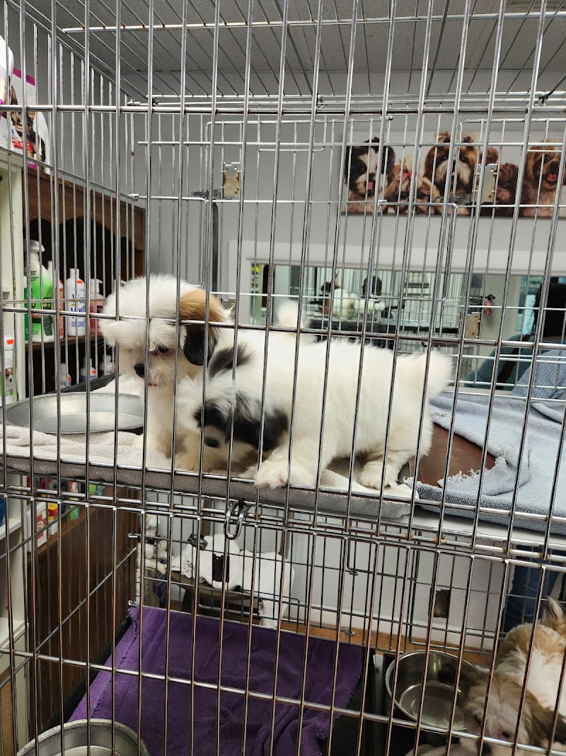 Coronado Pet Shoppe - Photo 4