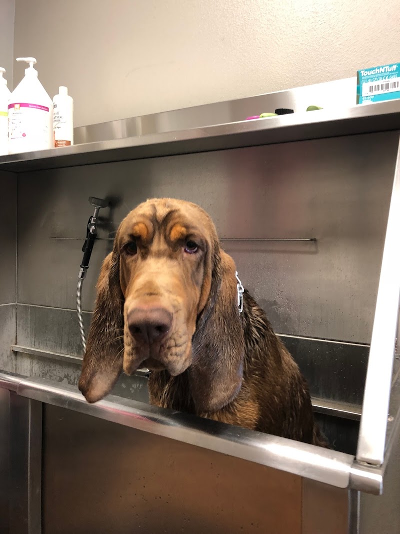 Yellow City Pet Supply - Photo 5