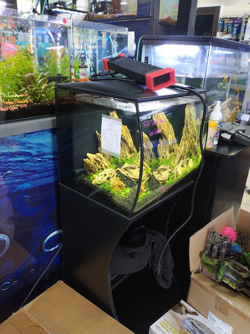 Fish Paradise, LLC - Photo 3