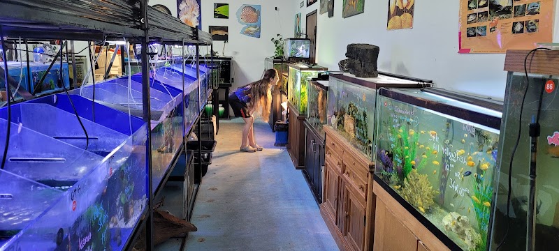 Champions Tropical Fish Room - Photo 2