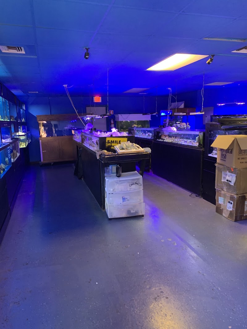 Saltwater Paradise - Photo 1