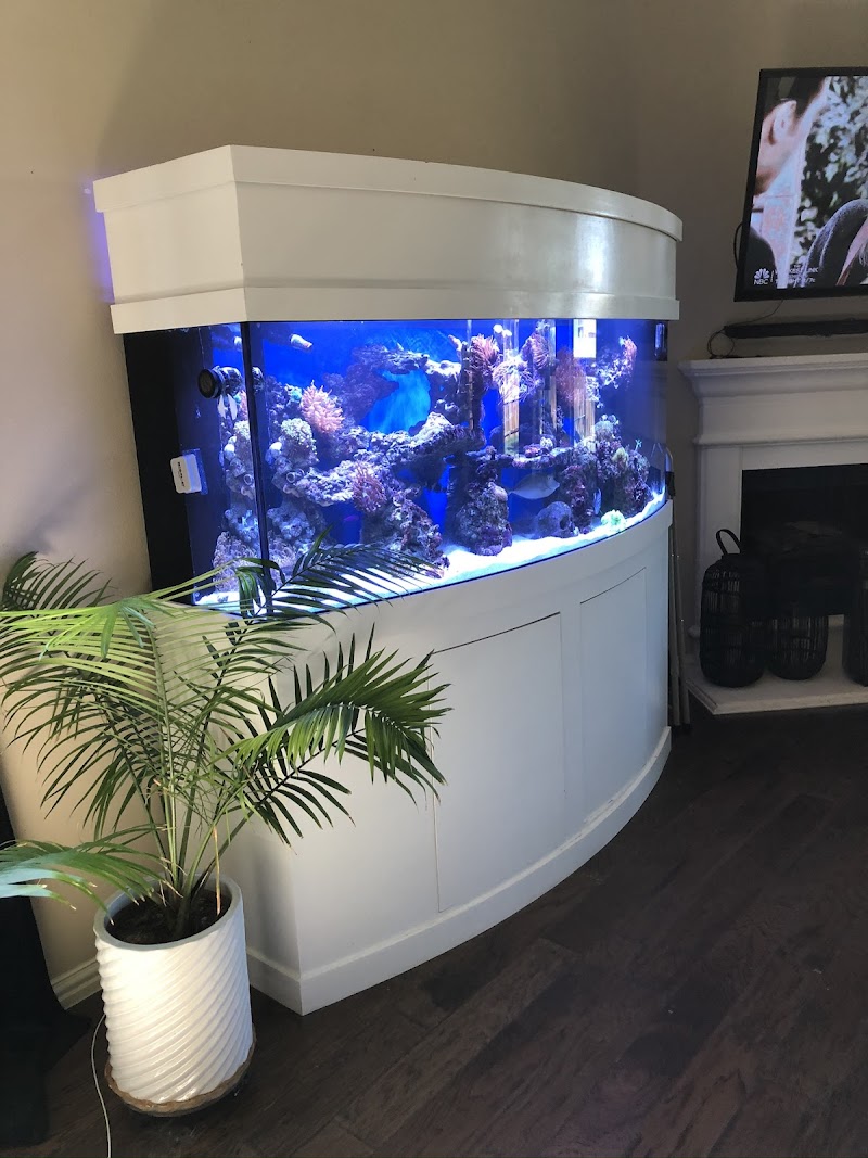 Saltwater Paradise - Photo 2