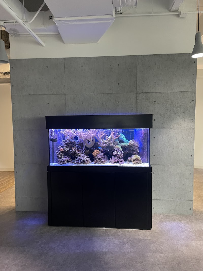 Saltwater Paradise - Photo 3