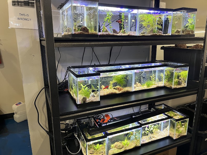 Aquatic Dreams - Photo 3