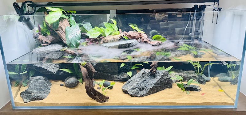 Aquatic Dreams - Photo 5