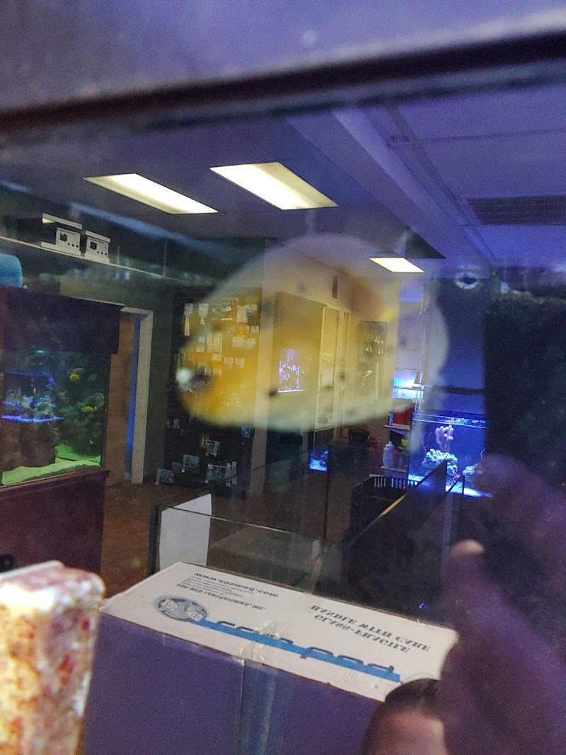 River City Aquatics - Photo 1