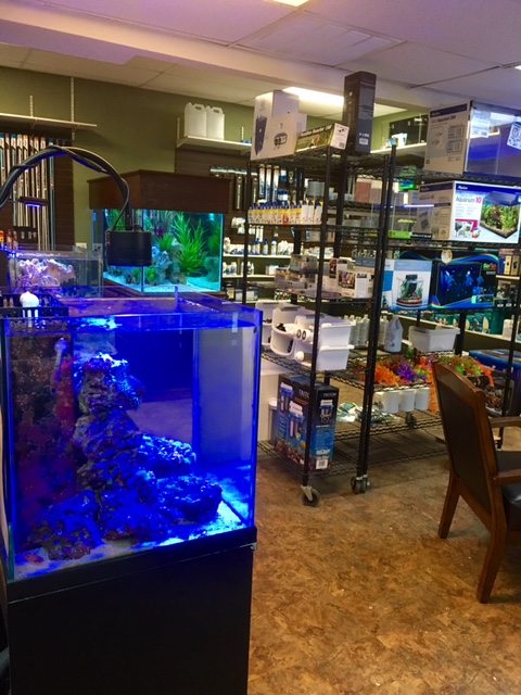 River City Aquatics - Photo 2