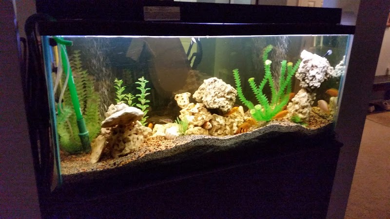 River City Aquatics - Photo 3