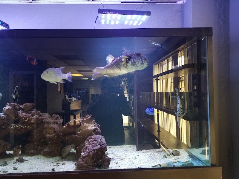 River City Aquatics - Photo 4