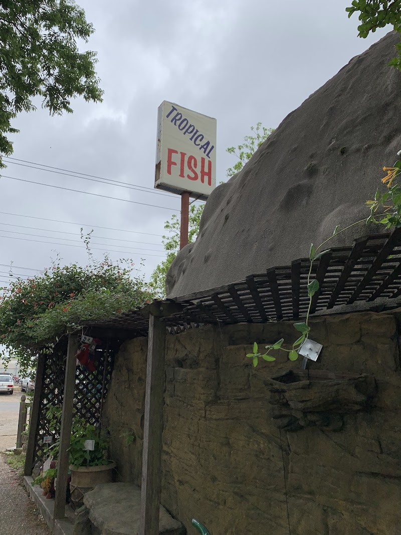 Austin Aqua-Dome - Photo 1