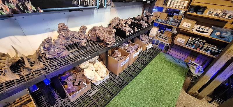 Austin Aqua-Dome - Photo 4