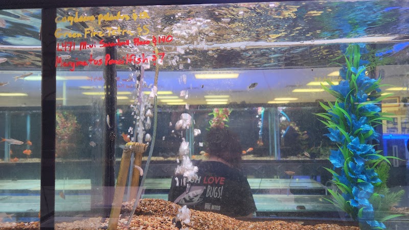 Aquatek Tropical Fish - Photo 1