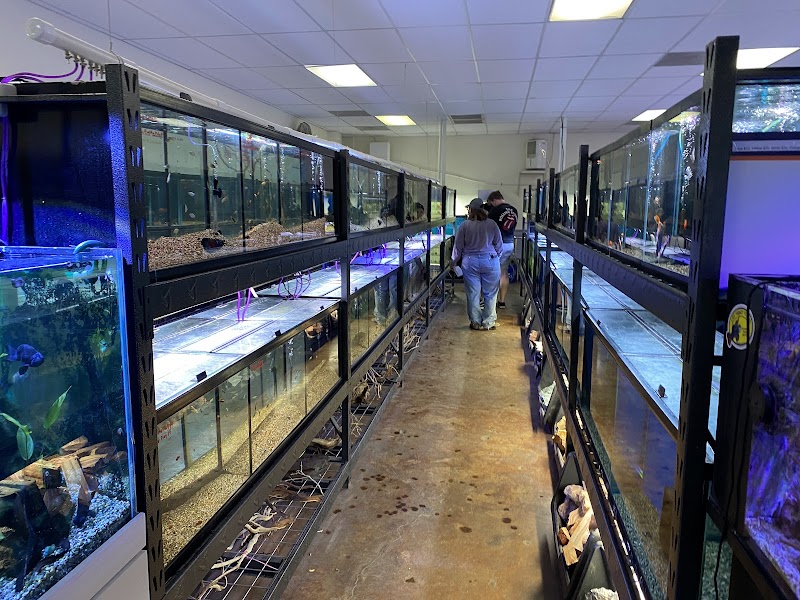 Aquatek Tropical Fish - Photo 2