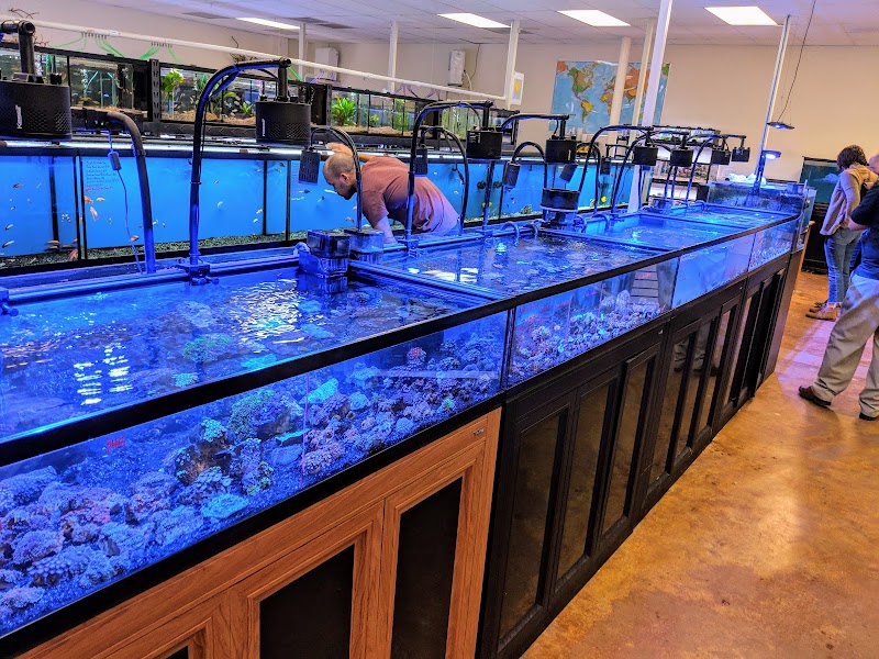 Aquatek Tropical Fish - Photo 3