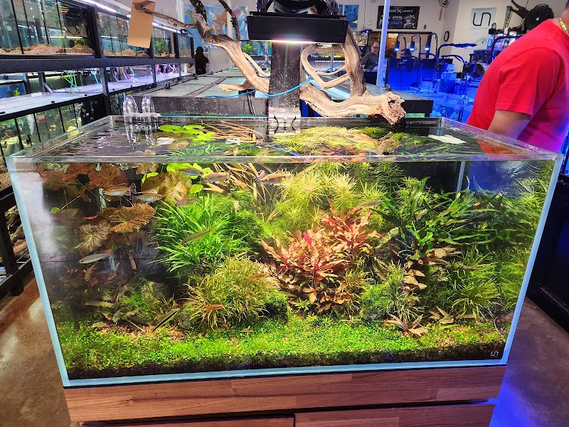 Aquatek Tropical Fish - Photo 4