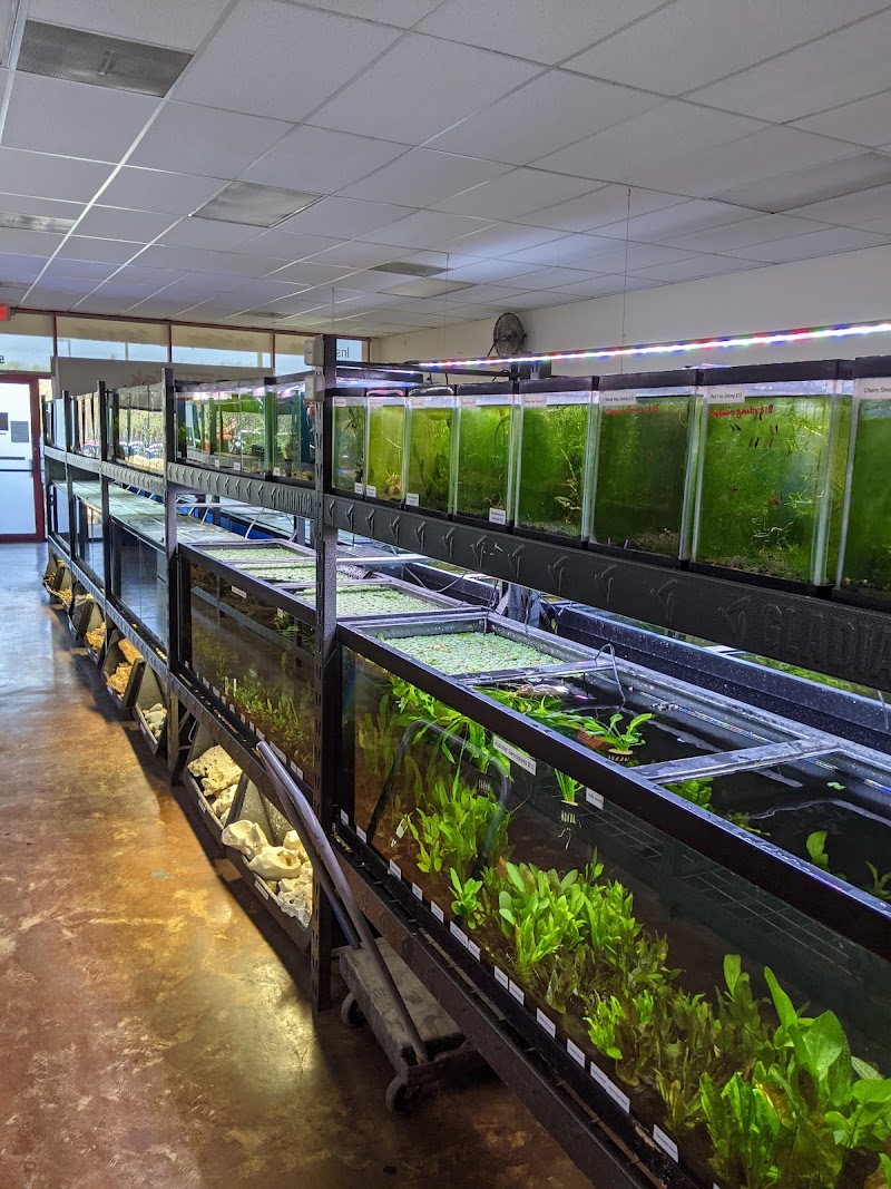 Aquatek Tropical Fish - Photo 5