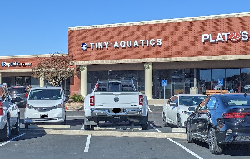 Tiny Aquatics - Photo 1