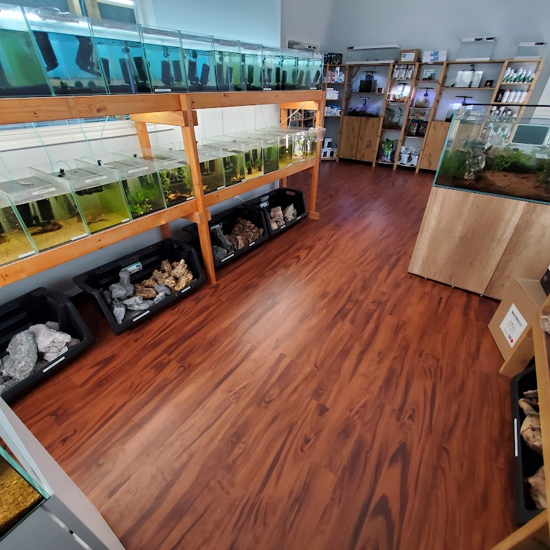 Tiny Aquatics - Photo 3