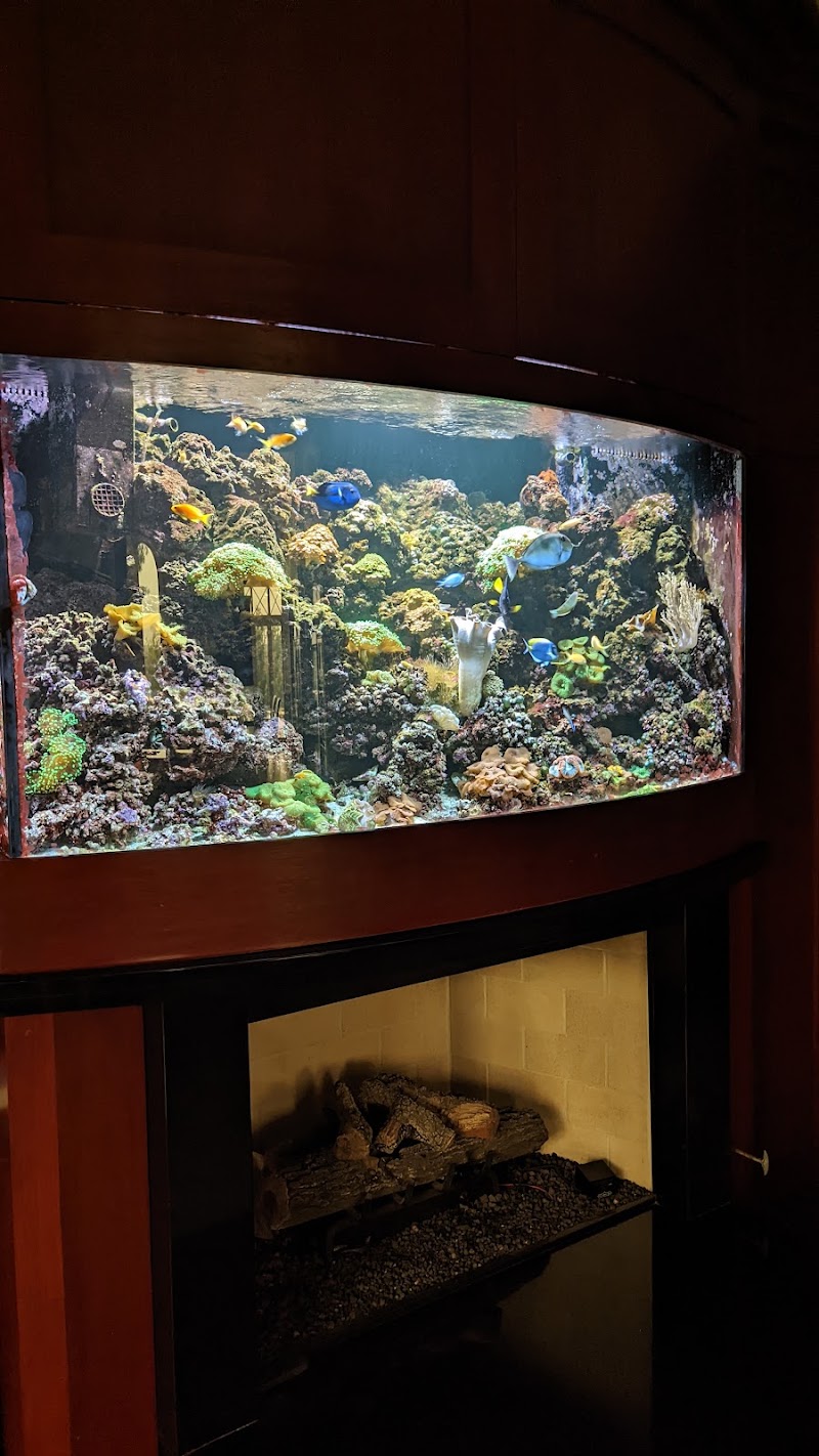 Fish Whisper - Photo 1