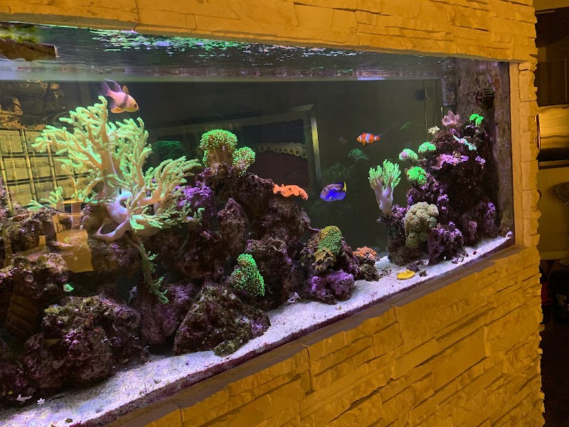 Fish Whisper - Photo 2