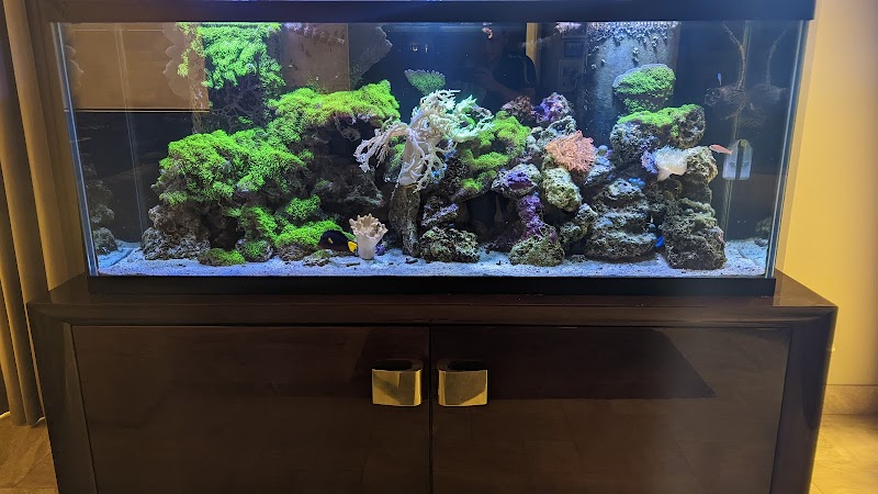 Fish Whisper - Photo 5