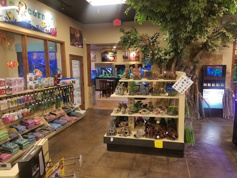 The Aquarium Company - Photo 4