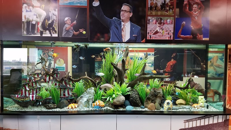 The Aquarium Company - Photo 5