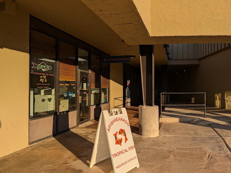 A Fishie Anado - Photo 1