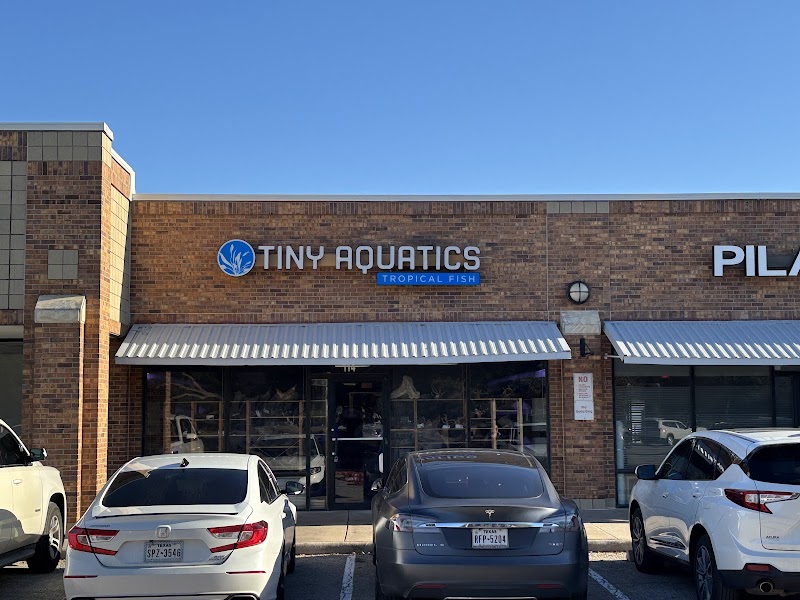 Tiny Aquatics - Photo 1