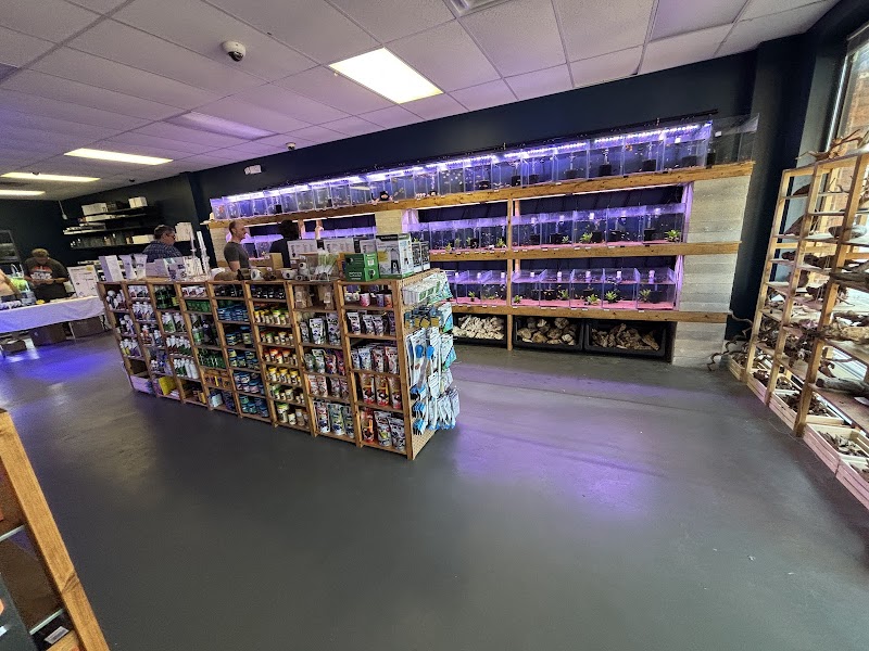 Tiny Aquatics - Photo 2