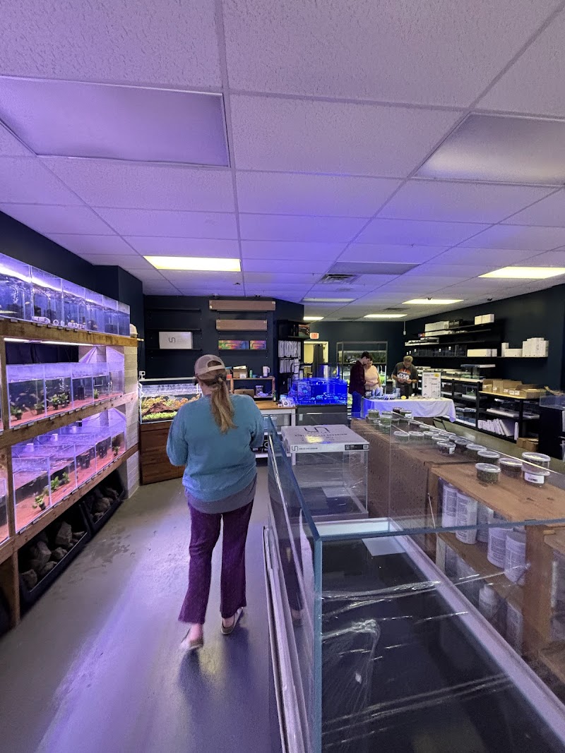 Tiny Aquatics - Photo 4