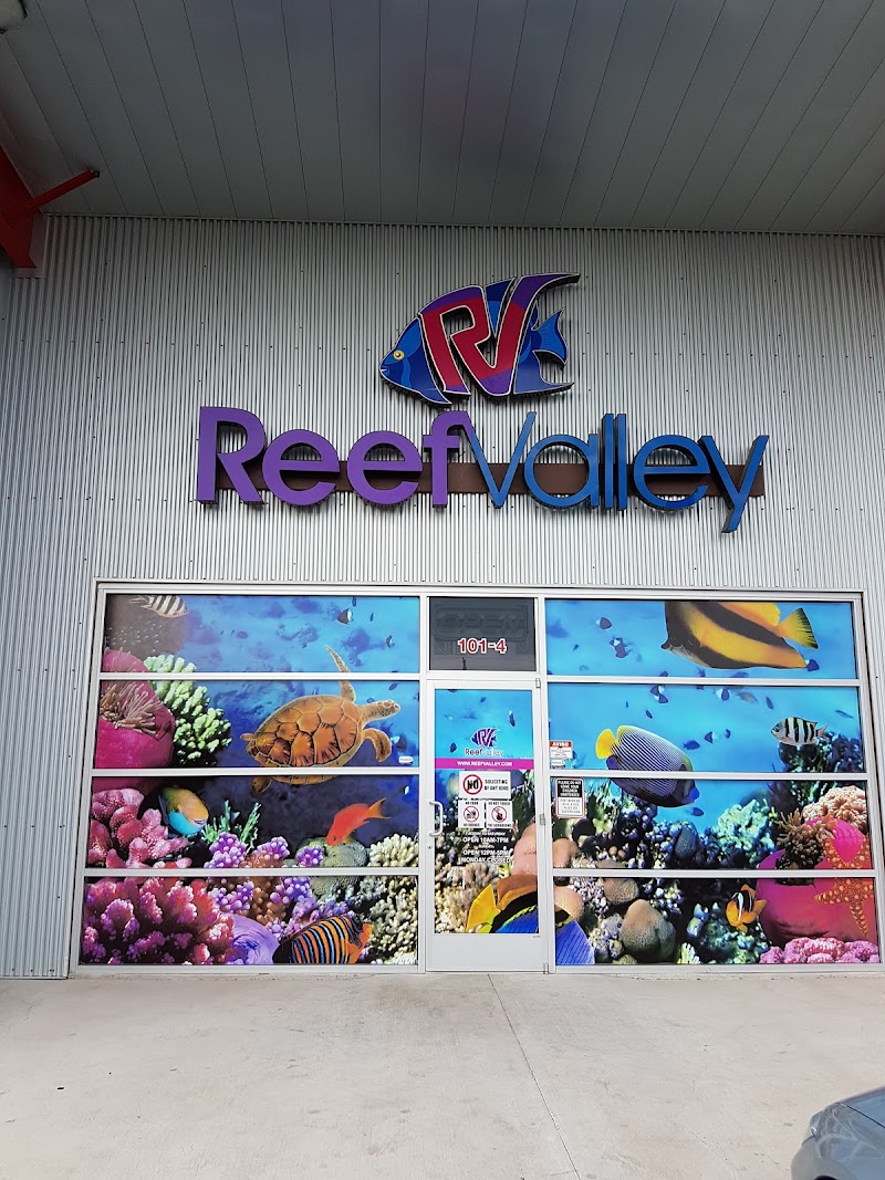 Reef Valley - Photo 1