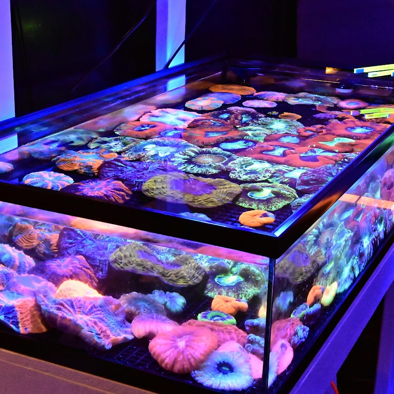 Reef Valley - Photo 4