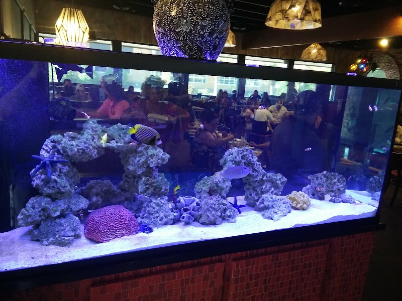 Reef Valley - Photo 5