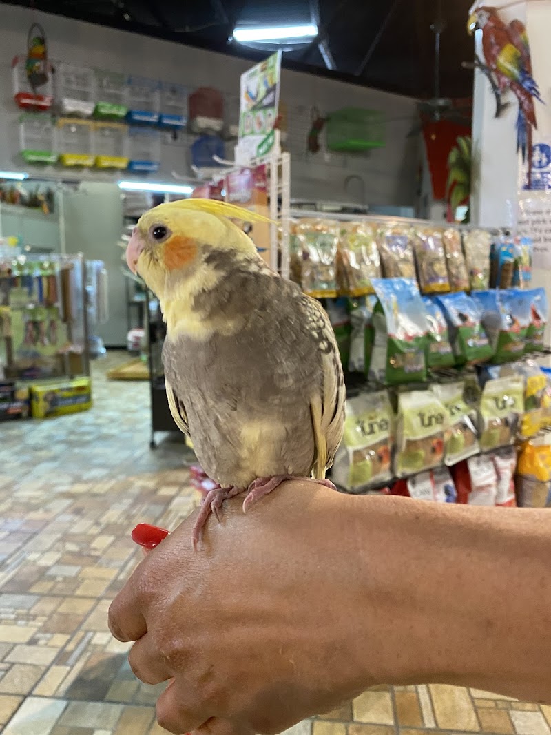 Exotic Tropical Petworld - Photo 2