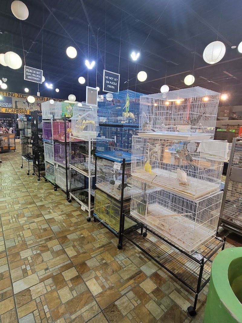 Exotic Tropical Petworld - Photo 4