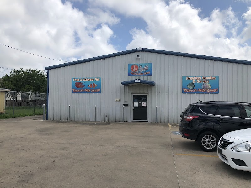 Tropical Fish Haven - Photo 1