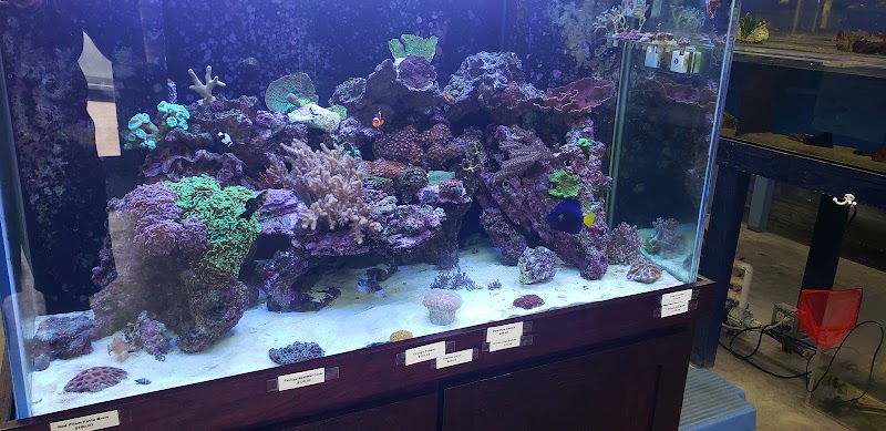 Tropical Fish Haven - Photo 5