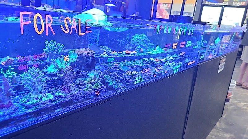 Salty Aquatics & Fish - Photo 2