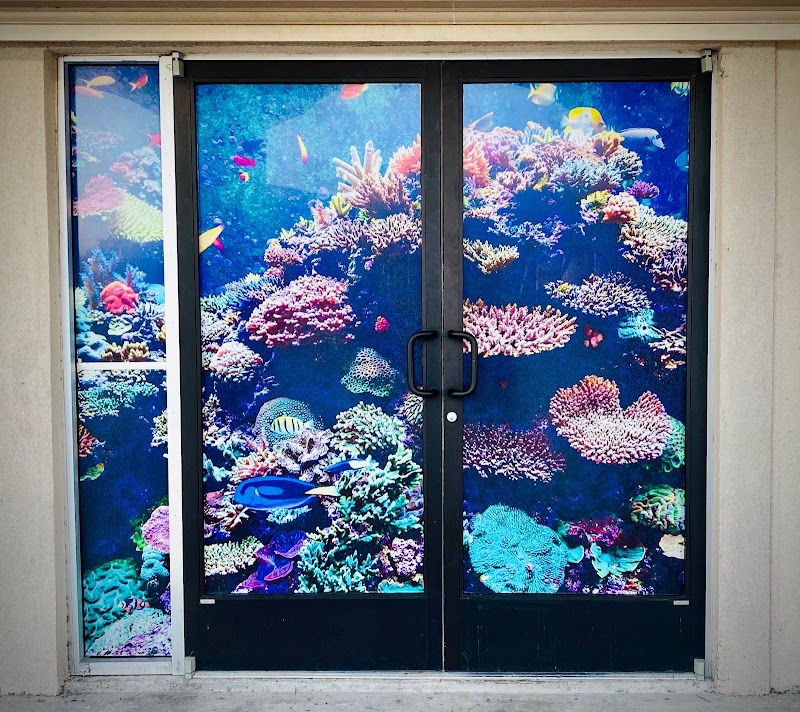 Salty Aquatics & Fish - Photo 3